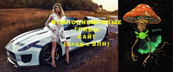 стаф Михайловск
