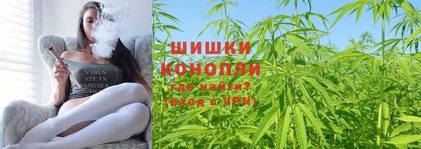 стаф Михайловск