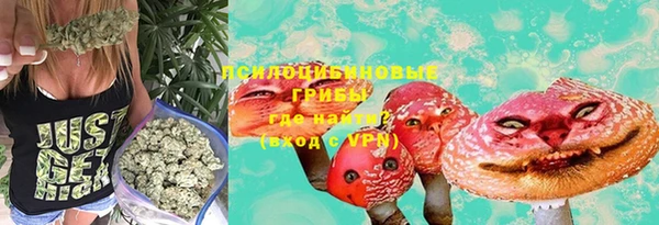 таблы Щигры