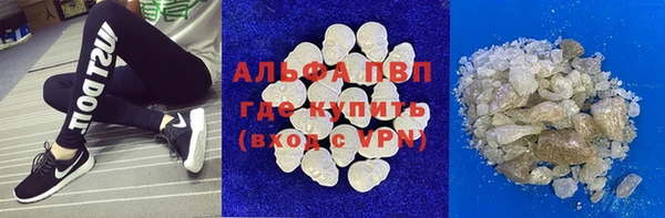 стаф Михайловск